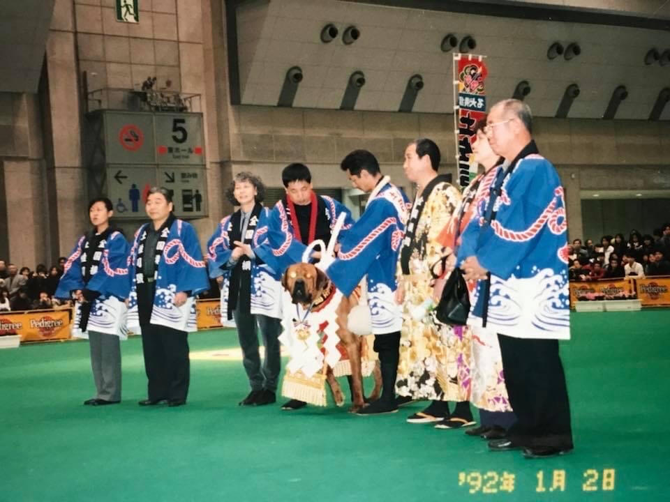 Saji-Go Saji-Go